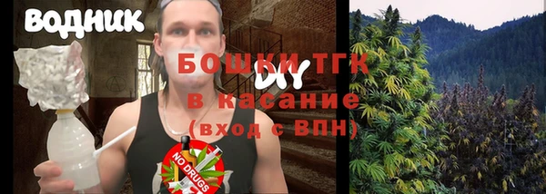 ПСИЛОЦИБИНОВЫЕ ГРИБЫ Медвежьегорск