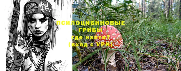 ПСИЛОЦИБИНОВЫЕ ГРИБЫ Медвежьегорск
